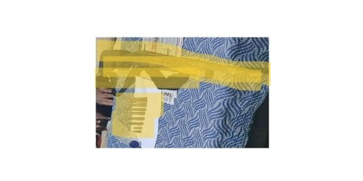 पुलिस-एसएसबी की संयुक्त कार्रवाई, जंगल क्षेत्र से राइफल व कारतूस जब्त